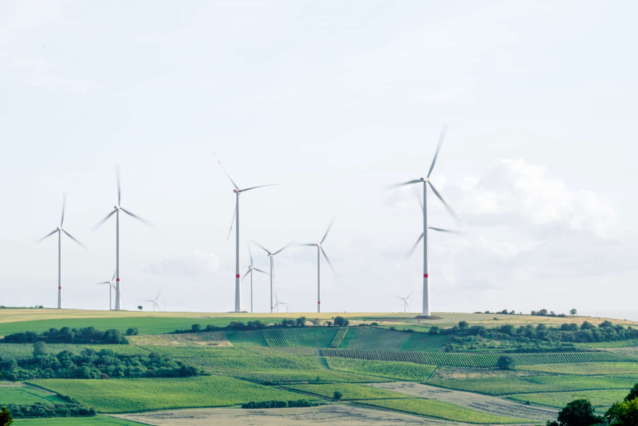 Windräder für nachhaltige Energiegewinnung